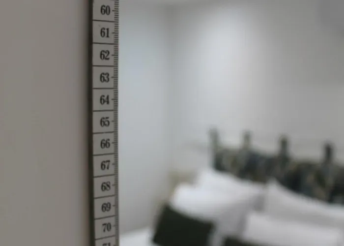 Entre Linhas 3* コインブラ